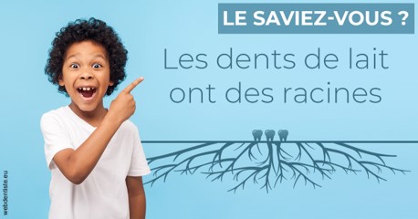 https://dr-pichon-denis.chirurgiens-dentistes.fr/Les dents de lait 2