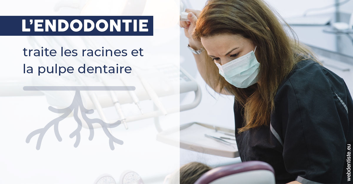 https://dr-pichon-denis.chirurgiens-dentistes.fr/L'endodontie 1