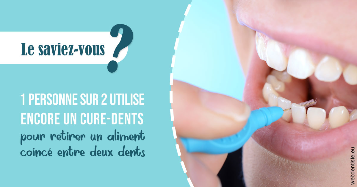 https://dr-pichon-denis.chirurgiens-dentistes.fr/Cure-dents 1