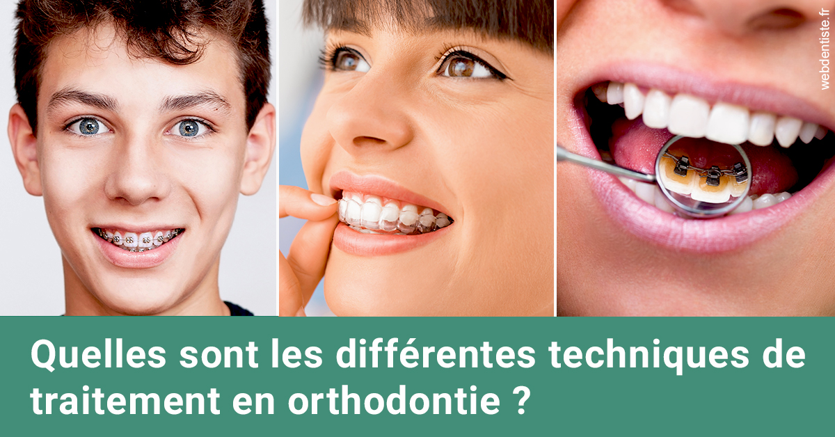 https://dr-pichon-denis.chirurgiens-dentistes.fr/Les différentes techniques de traitement 2