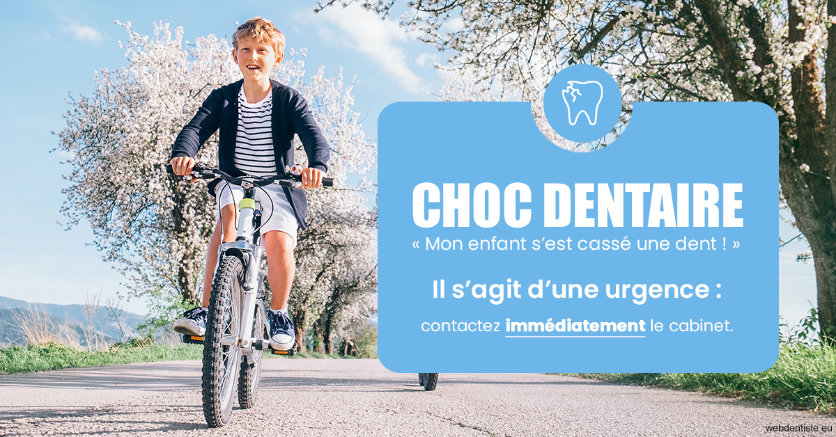 https://dr-pichon-denis.chirurgiens-dentistes.fr/T2 2023 - Choc dentaire 1